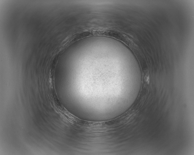 X0000080721252200612221218