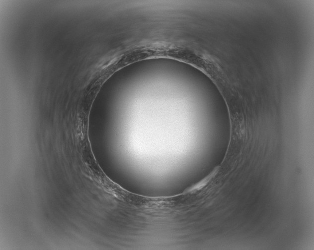 X0000080721253200612221218