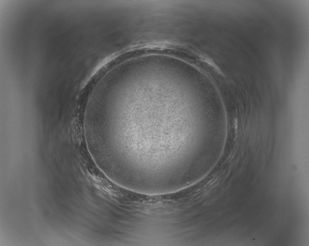 X0000080721256200612221218