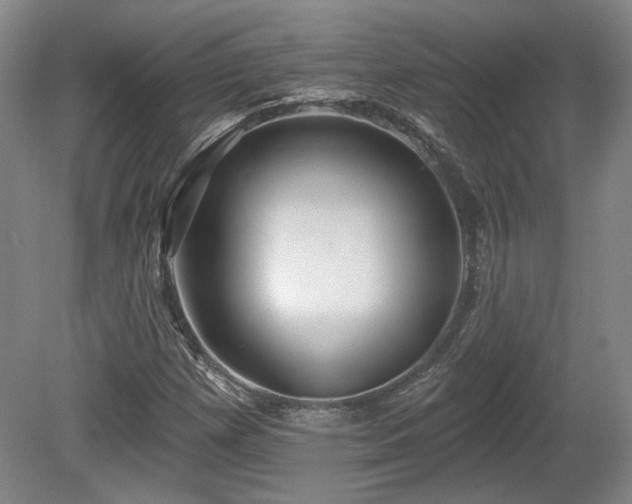 X0000080721257200612221218