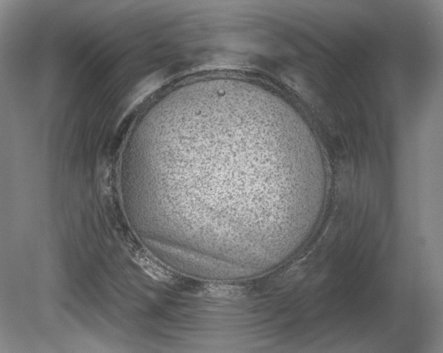 X0000080721258200612221218