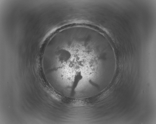 X0000080721263200612221218