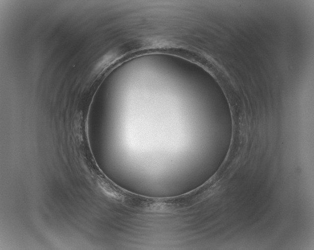 X0000080721265200612221218