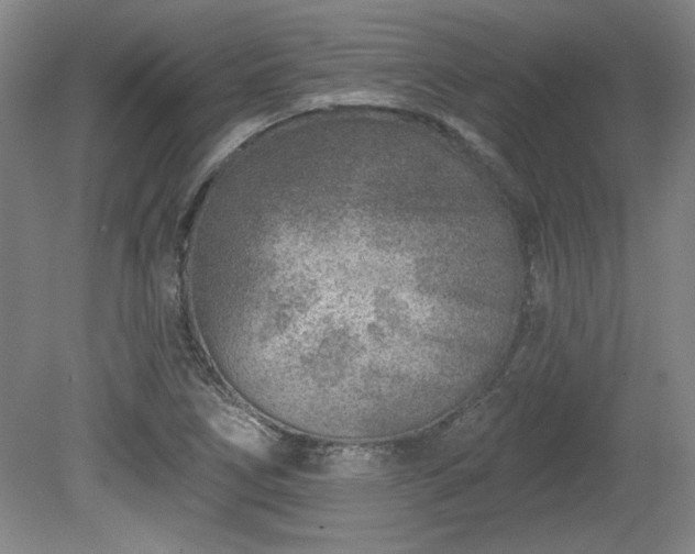 X0000080721266200612221218