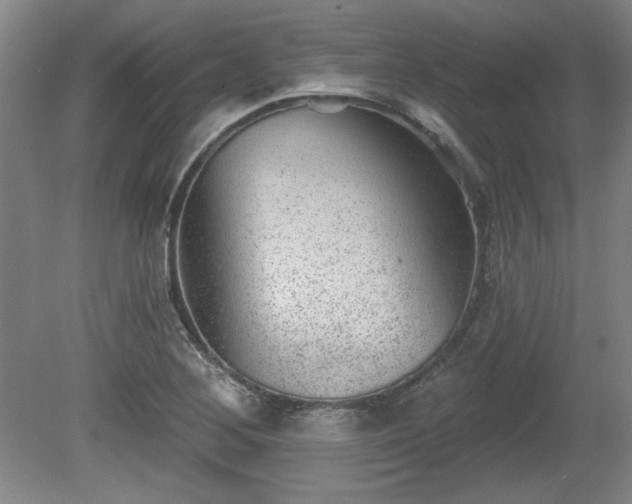 X0000080721268200612221218