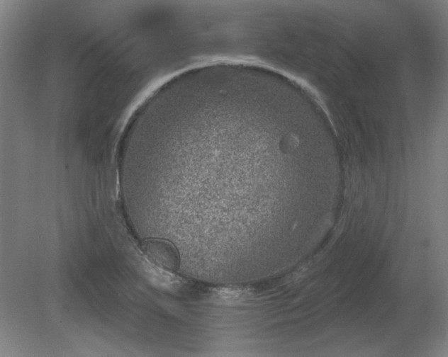 X0000080721271200612221218