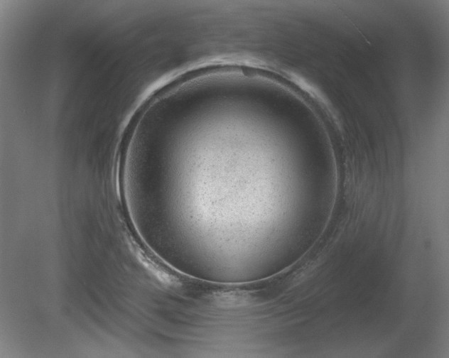 X0000080721272200612221218