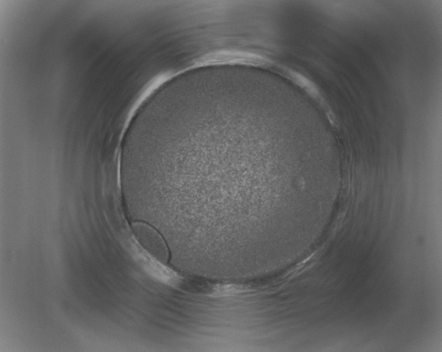 X0000080721275200612221218