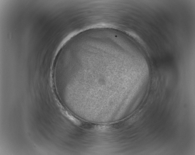 X0000080721278200612221217