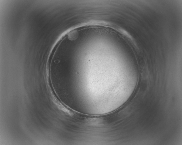 X0000080721280200612221217