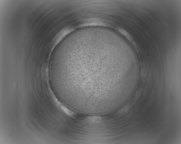 X0000080721282200612221217