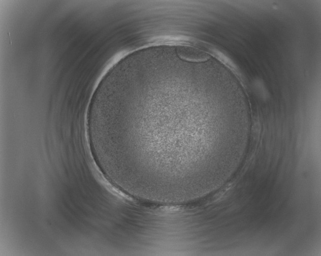 X0000080721283200612221217