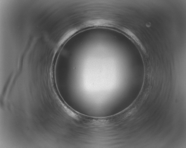 X0000080721285200612221217