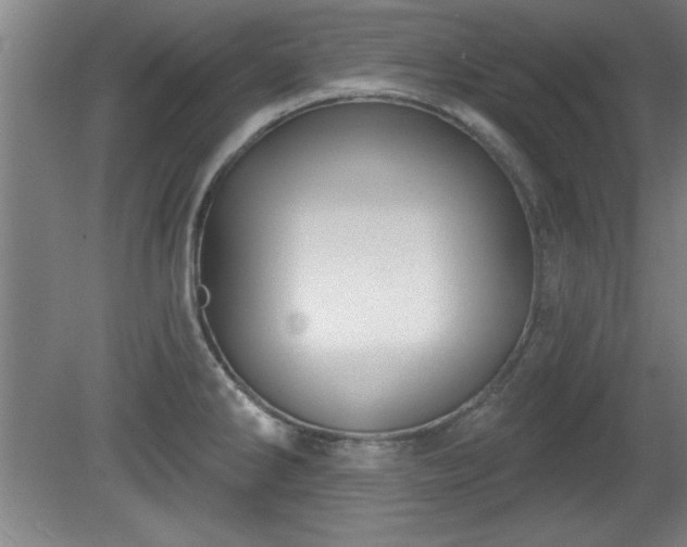 X0000080721286200612221217