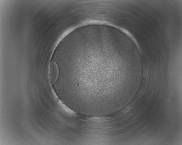 X0000080721287200612221217