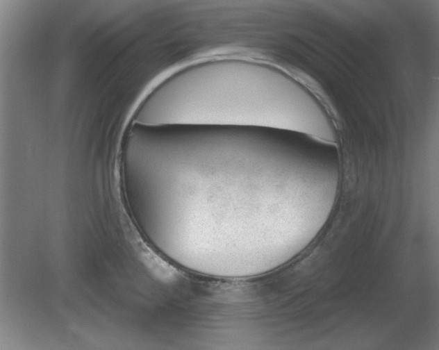 X0000080721288200612221217