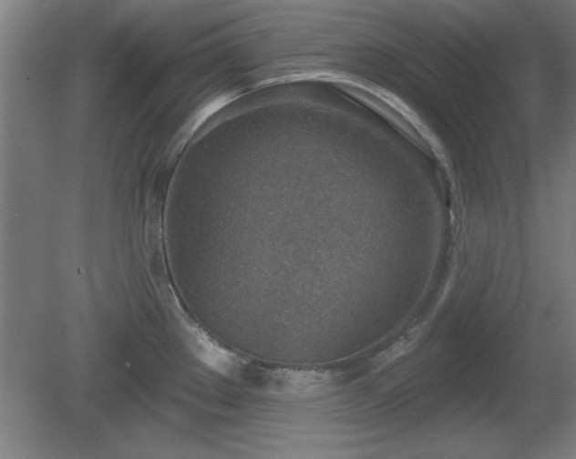 X0000080721289200612221217