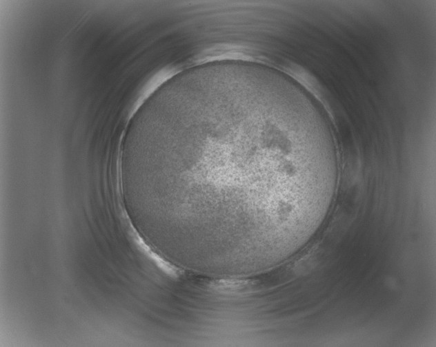 X0000080721290200612221217