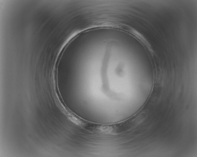 X0000080721291200612221217