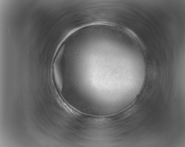 X0000080721292200612221217