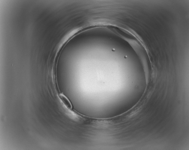 X0000080721293200612221217