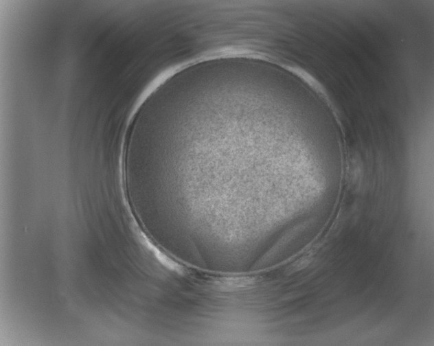 X0000080721294200612221217