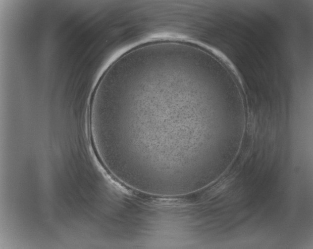 X0000080721295200612221217