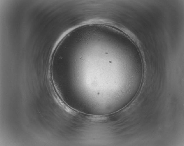 X0000080721296200612221217