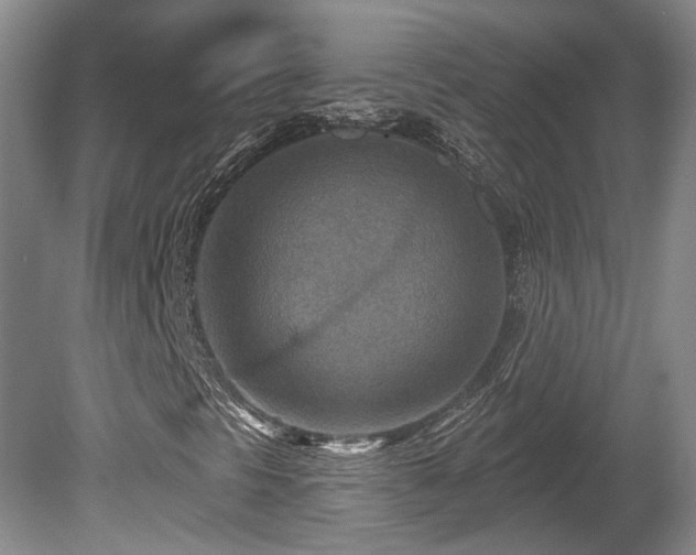 X0000080721297200612221216