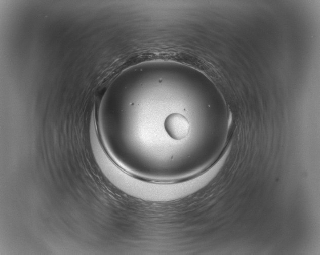 X0000080721298200612221216