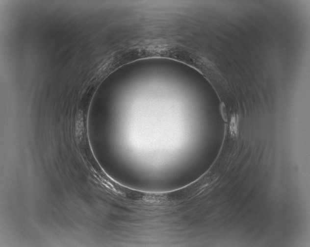 X0000080721299200612221216