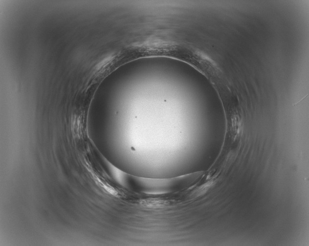 X0000080721300200612221216