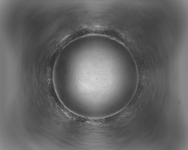 X0000080721301200612221216