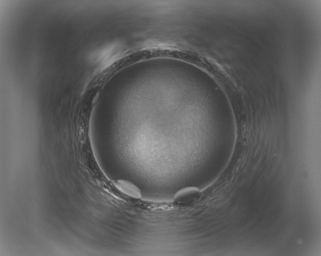 X0000080721303200612221216