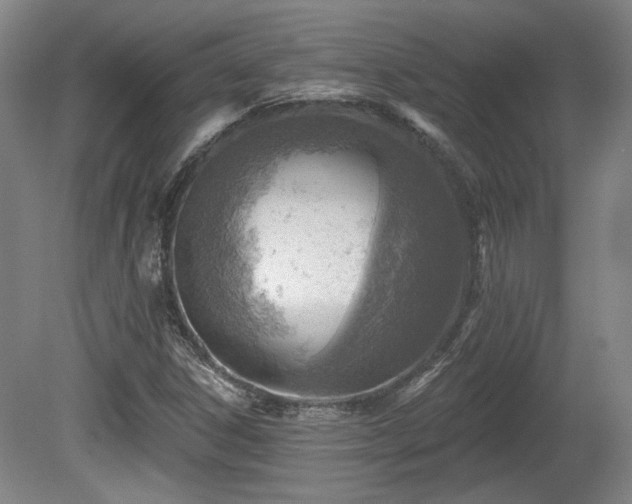 X0000080721306200612221217