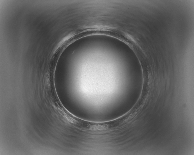 X0000080721307200612221217