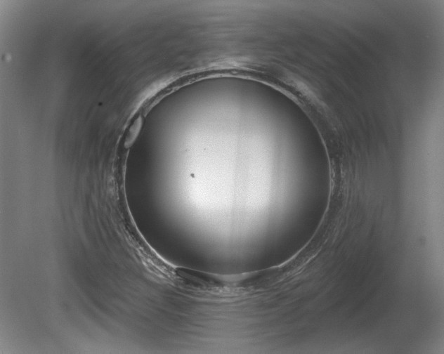 X0000080721308200612221217