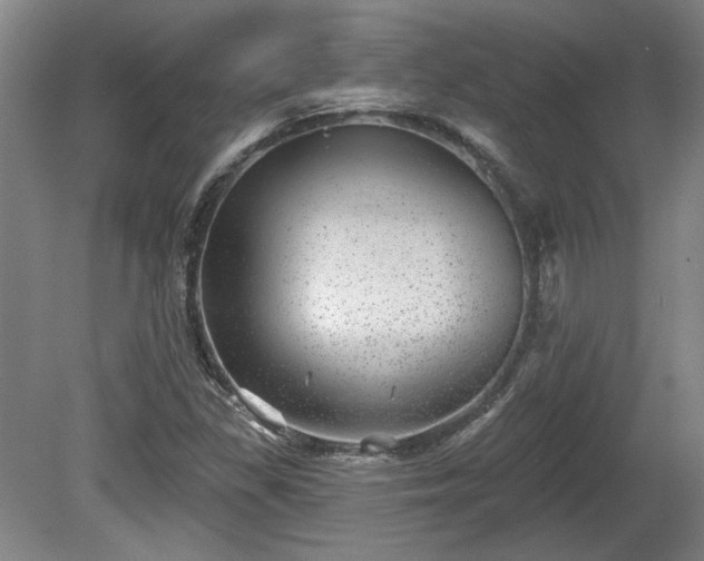 X0000080721309200612221217