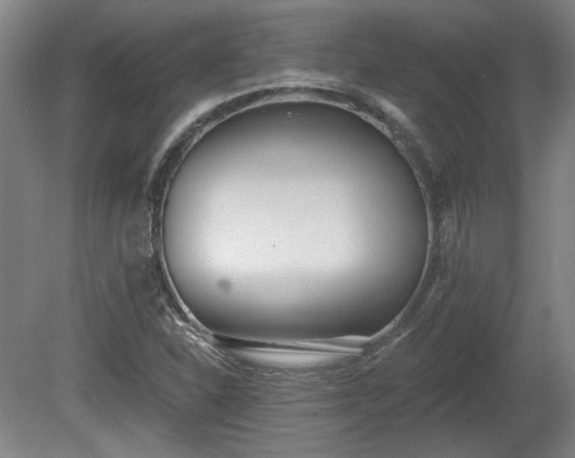 X0000080721310200612221217