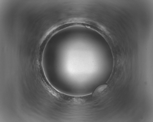 X0000080721312200612221217