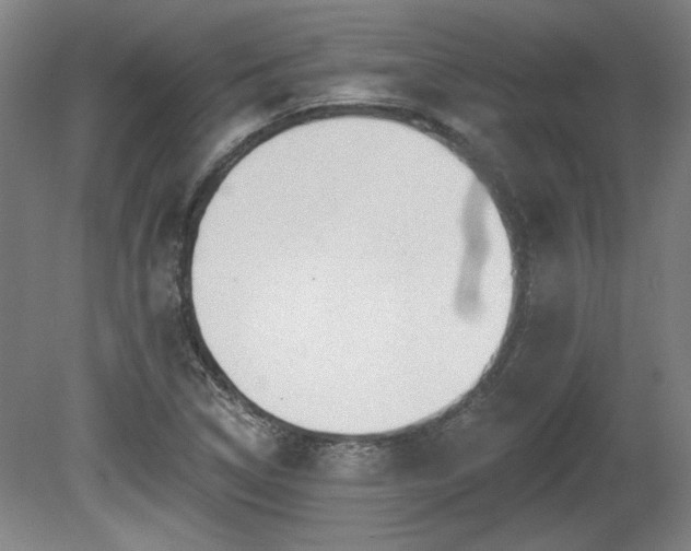 X0000080721314200612221217