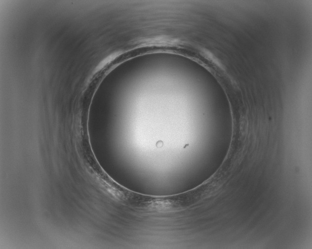 X0000080721315200612221217