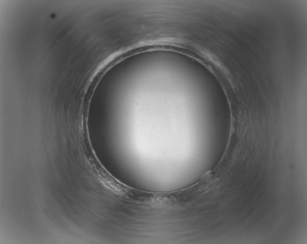 X0000080721316200612221217