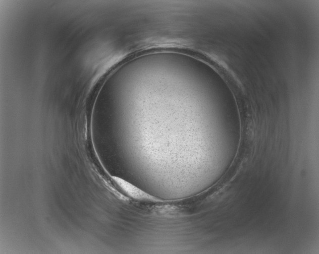 X0000080721317200612221217