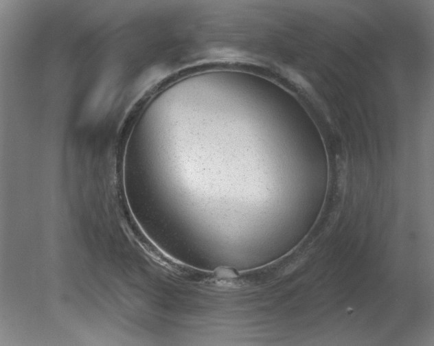 X0000080721318200612221217