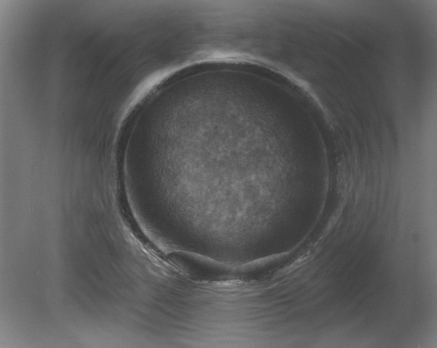 X0000080721319200612221217