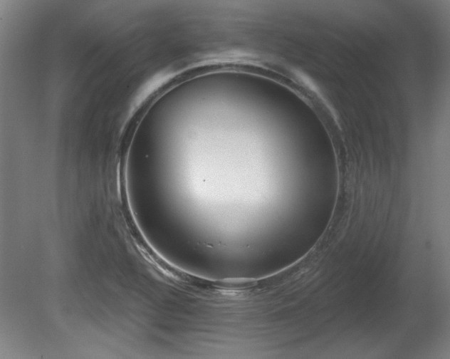 X0000080721320200612221217