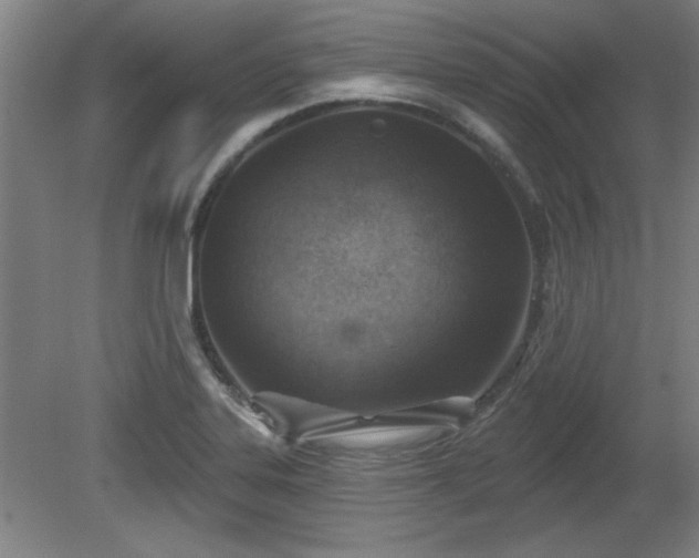 X0000080721323200612221217