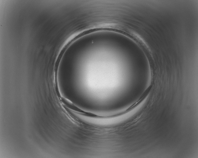 X0000080721324200612221217