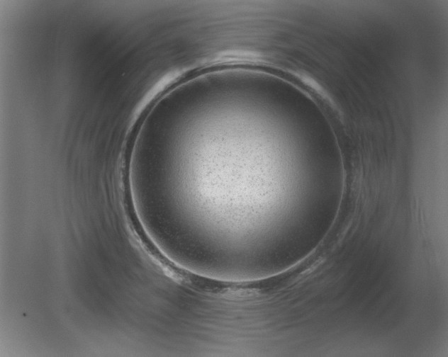 X0000080721325200612221217